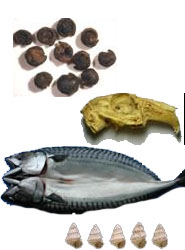 Various ARL pictures